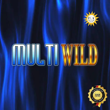 Multi Wild Slot